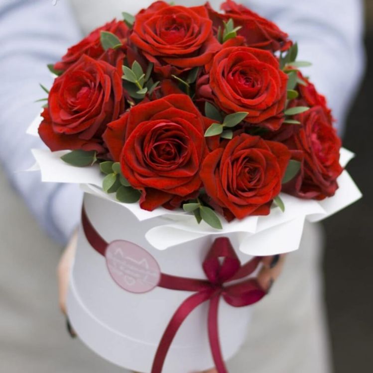 Лучший от 9 900 руб.